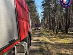 Ganztagsausbildung zum Thema Thema Wald- und Vegetationsbrandbekämpfung 